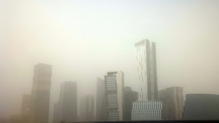 Sandstorm blankets Saudi capital in grey haze
