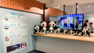 Pandas and Trump teach Hong Kong kids about national security crimes