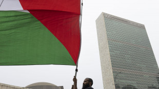 Usa, il riconoscimento della Palestina degli alleati è simbolico