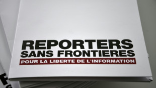 Journalistes tués à Gaza: opération de RSF dans la presse internationale