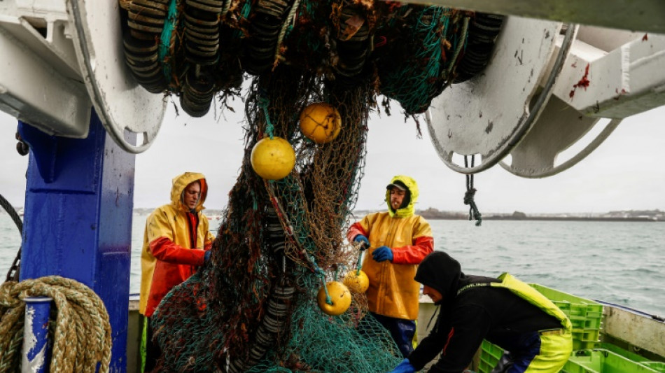 EU-Kommission schlägt zum Teil deutlich geringere Fischfangquoten für die Ostsee vor