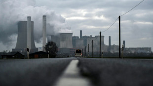 Fossil fuel CO2 emissions up slightly in 2022: IEA