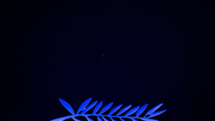 Le 78e Festival de Cannes dévoile sa sélection officielle