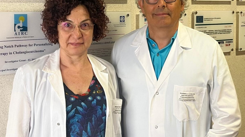 La ricerca dell'Irccs de Bellis, mangiare troppo pollo fa male