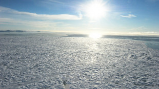 La banquise de l'Arctique &agrave; l'un de ses niveaux les plus bas jamais mesur&eacute;s 