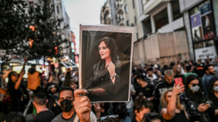 L'Iran fait &eacute;tat de plus de 300 morts depuis le d&eacute;but des troubles (Gardiens de la R&eacute;volution)