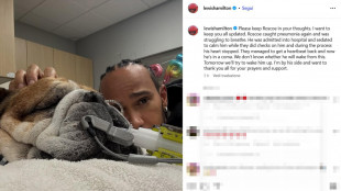 F1: addio Hamilton al cane, "Addormentarlo decisione più dura"