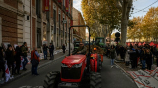Les agriculteurs ulc&eacute;r&eacute;s par la signature avec le Mercosur, pr&eacute;voient de "durcir" leurs actions