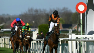 Patrick Mullins suspended for winning Grand National ride