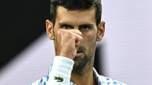Un Djokovic plet&oacute;rico brilla en Australia