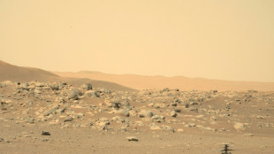 NASA loses contact with its mini-helicopter on Mars