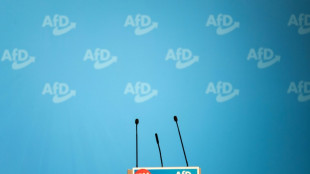 Neue Pl&auml;ne f&uuml;r AfD-Verbotsverfahren sto&szlig;en auf geteiltes Echo