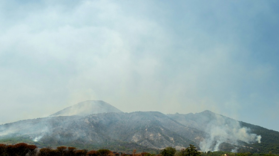Waldbrand am Vesuv in Italien: Wanderwege vorerst für Touristen gesperrt