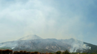 Waldbrand am Vesuv in Italien: Wanderwege vorerst für Touristen gesperrt