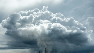 L'Indonésie prend le contrôle d'une partie de la plus grande mine de nickel au monde