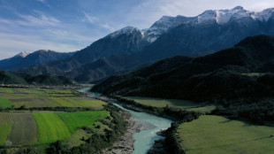 Balkan wild rivers in steady decline: study