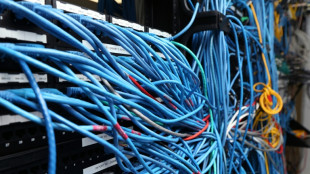 Digitalisierung der Beh&ouml;rden: 16 Bundesl&auml;nder schreiben Brandbrief an den Bund