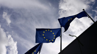 EU-Au&szlig;enminister beraten &uuml;ber Reaktion auf hybride Angriffe Russlands