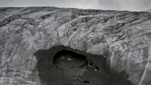 Swiss glaciers shrink in half since 1931: study