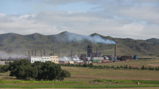 China aprueba un "cierto número" de licencias de exportación de tierras raras