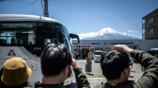Japan town begins blocking Mt Fuji view from 'bad-mannered' tourists