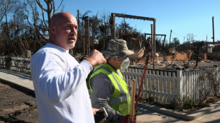 Voluntarios limpian de escombros la exclusiva Palisades tras los incendios de Los &Aacute;ngeles