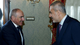 Armenia PM hails 'in depth' talks with Erdogan on 'historic' Turkey visit