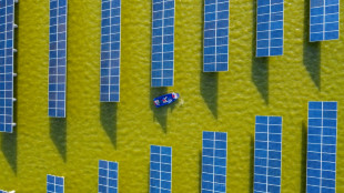Cheaper, changing and crucial: the rise of solar power