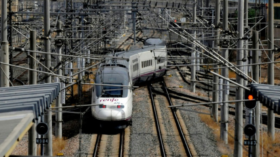 Detenidos los presuntos responsables del robo de cobre que paró los trenes de alta velocidad en España
