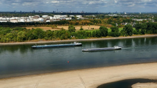 Parts of Germany's Rhine could become unnavigable, group warns