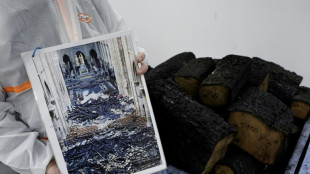 Les d&eacute;bris de Notre-Dame, des "vestiges" soigneusement conserv&eacute;s et &eacute;tudi&eacute;s