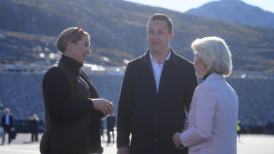Von der Leyen a Nuuk, 'in autunno la strategia Ue per l'Artico