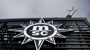 Schweizer Reederei MSC stoppt Exporte aus der Golfregion wegen Kriegsrisiken  