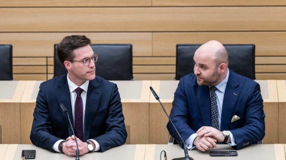 Baden-W&uuml;rttemberg: AfD bietet sich CDU als Koalitionspartner an