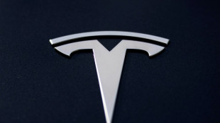 Les immatriculations de Tesla continuent de s'effondrer en France en avril