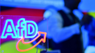 Verdachtsfall-Einstufung: AfD legt Verfassungsbeschwerde ein