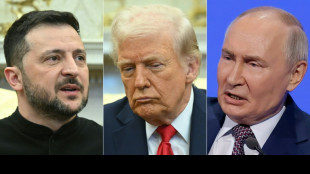 Putin n&atilde;o participar&aacute; de di&aacute;logos com Ucr&acirc;nia na Turquia
