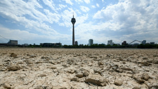 Wetterdienst: Wom&ouml;glich zweitw&auml;rmster Sommer seit Messbeginn in Deutschland