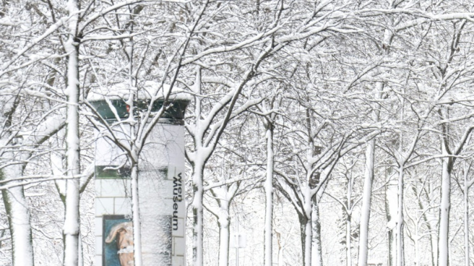 Austria snowstorm leaves five dead, road and power chaos