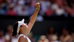 Anisimova proves doubters wrong with run to Wimbledon final