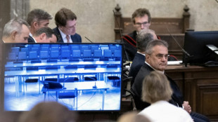 A Vienne, un ex-agent autrichien jug&eacute; pour espionnage pour la Russie