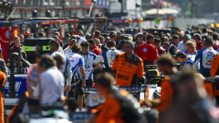 F1: il Gp di Monza ripartito dopo 30' di stop
