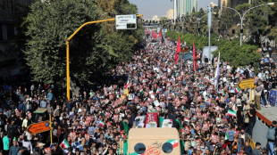 Detenidos 26 yihadistas extranjeros en Ir&aacute;n en relaci&oacute;n con el atentado en Shiraz