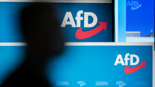 AfD entscheidet sich mit Doppelspitze Weidel/Chrupalla f&uuml;r radikaleren Kurs