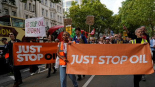 UK climate protesters undeterred despite govt threats