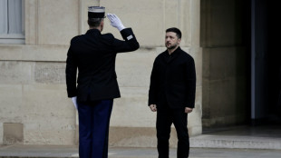 Zelenski visitará Irlanda por primera vez