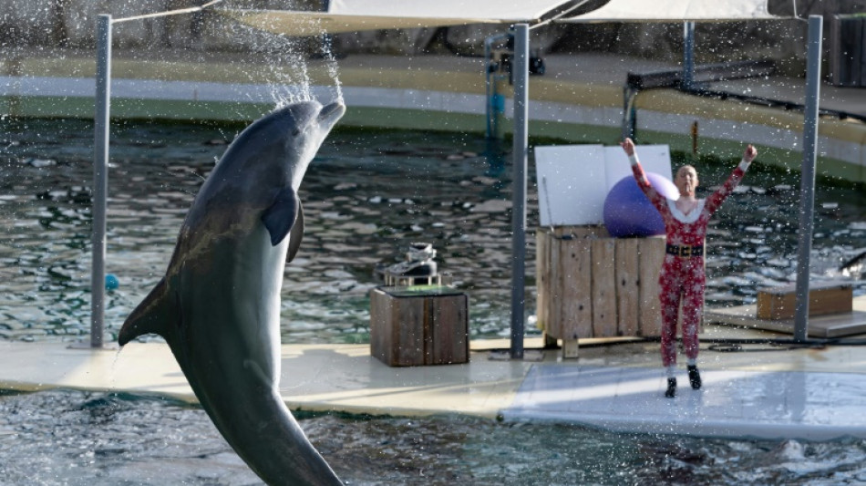 Cierra un parque marino de Francia por una ley que proh&iacute;be los espect&aacute;culos con orcas