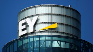 EY: "Sinkflug" bei ausl&auml;ndischen Direktinvestitionen in Deutschland h&auml;lt an