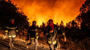 Europe's fiery summer: a climate 'reality check'?