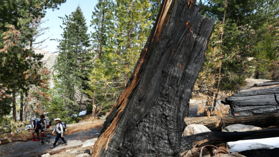 Compa&ntilde;&iacute;a el&eacute;ctrica deber&aacute; pagar USD 82,5 millones por incendio forestal en California